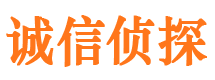 普定市私家侦探